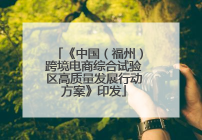 《中国（福州）跨境电商综合试验区高质量发展行动方案》印发