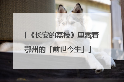 《长安的荔枝》里藏着鄂州的「前世今生」
