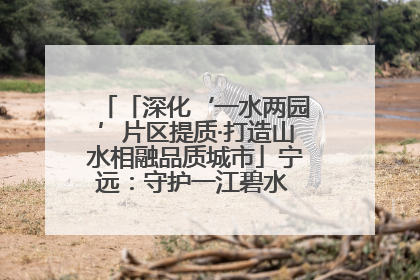 「深化‘一水两园’片区提质·打造山水相融品质城市」宁远：守护一江碧水 共享幸福河湖