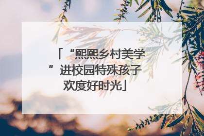 “熙熙乡村美学”进校园特殊孩子欢度好时光