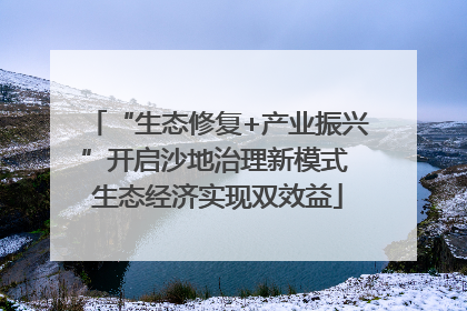 “生态修复+产业振兴”开启沙地治理新模式 生态经济实现双效益