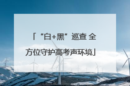 “白+黑”巡查 全方位守护高考声环境