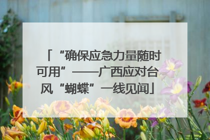 “确保应急力量随时可用”——广西应对台风“蝴蝶”一线见闻