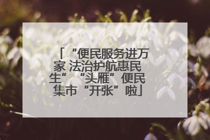 “便民服务进万家 法治护航惠民生”“头雁”便民集市“开张”啦
