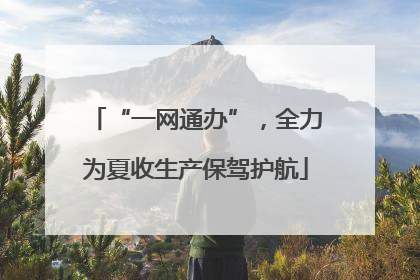 “一网通办”，全力为夏收生产保驾护航