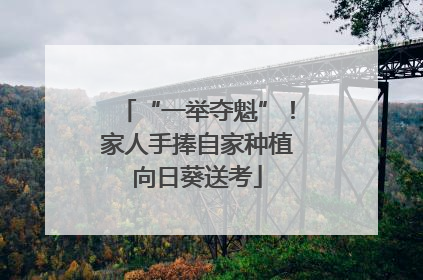 “一举夺魁”！家人手捧自家种植向日葵送考