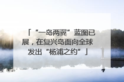 “一岛两翼”蓝图已展，在复兴岛面向全球发出“杨浦之约”