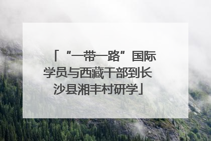 “一带一路”国际学员与西藏干部到长沙县湘丰村研学
