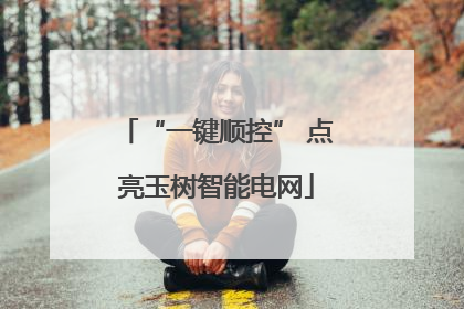 “一键顺控” 点亮玉树智能电网