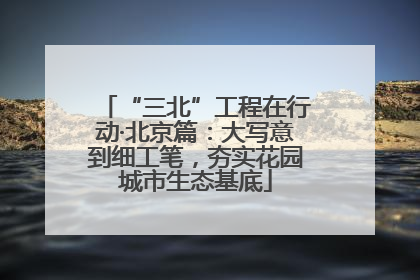 “三北”工程在行动·北京篇：大写意到细工笔，夯实花园城市生态基底