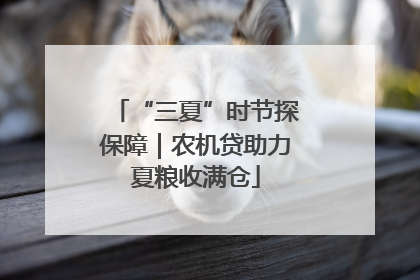 “三夏”时节探保障｜农机贷助力夏粮收满仓