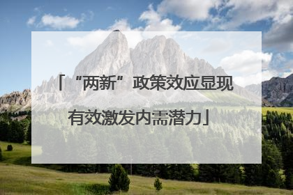 “两新”政策效应显现 有效激发内需潜力