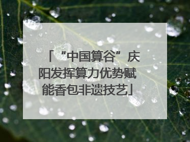 “中国算谷”庆阳发挥算力优势赋能香包非遗技艺