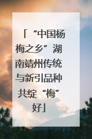 “中国杨梅之乡”湖南靖州传统与新引品种共绽“梅”好