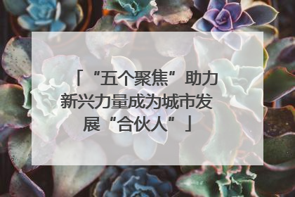“五个聚焦”助力新兴力量成为城市发展“合伙人”