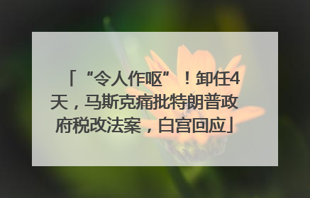 “令人作呕”！卸任4天，马斯克痛批特朗普政府税改法案，白宫回应