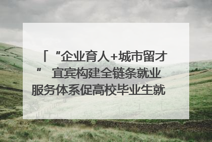 “企业育人+城市留才” 宜宾构建全链条就业服务体系促高校毕业生就业｜您牵挂的四川