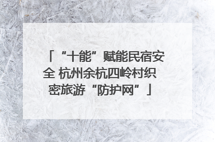 “十能”赋能民宿安全 杭州余杭四岭村织密旅游“防护网”