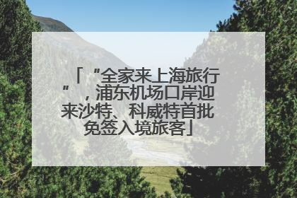 “全家来上海旅行”，浦东机场口岸迎来沙特、科威特首批免签入境旅客