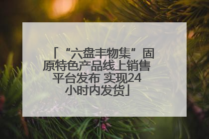 “六盘丰物集”固原特色产品线上销售平台发布 实现24小时内发货