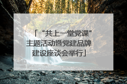 “共上一堂党课”主题活动暨党建品牌建设座谈会举行