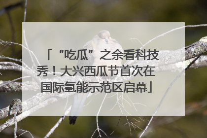 “吃瓜”之余看科技秀！大兴西瓜节首次在国际氢能示范区启幕