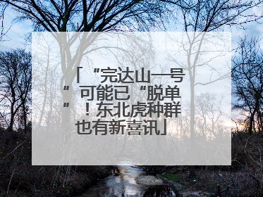“完达山一号”可能已“脱单”！东北虎种群也有新喜讯