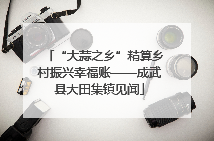 “大蒜之乡”精算乡村振兴幸福账——成武县大田集镇见闻