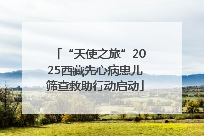 “天使之旅”2025西藏先心病患儿筛查救助行动启动