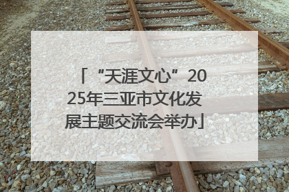 “天涯文心”2025年三亚市文化发展主题交流会举办