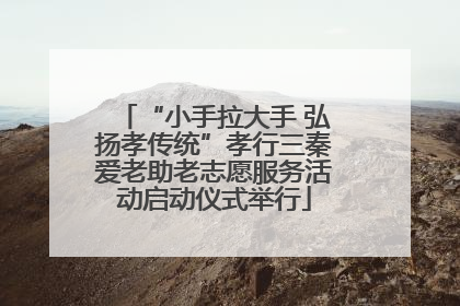 “小手拉大手 弘扬孝传统”孝行三秦爱老助老志愿服务活动启动仪式举行