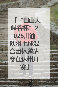 “巴山大峡谷杯”2025川渝陕羽毛球混合团体邀请赛在达州开赛