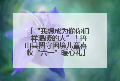 “我想成为像你们一样温暖的人”！鲁山县留守困境儿童喜收“六一”暖心礼