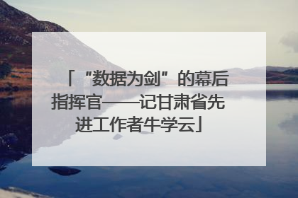 “数据为剑”的幕后指挥官——记甘肃省先进工作者牛学云