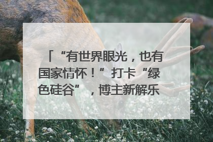 “有世界眼光，也有国家情怀！”打卡“绿色硅谷”，博主新解乐山｜网络名人四川行