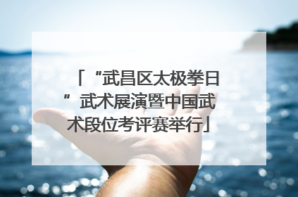 “武昌区太极拳日”武术展演暨中国武术段位考评赛举行