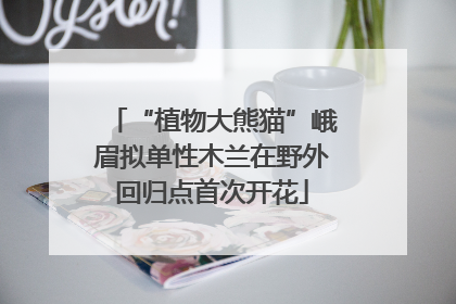 “植物大熊猫”峨眉拟单性木兰在野外回归点首次开花