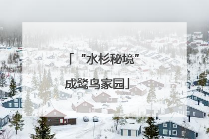 “水杉秘境”成鹭鸟家园