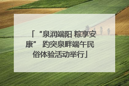 “泉润端阳 粽享安康” 趵突泉畔端午民俗体验活动举行