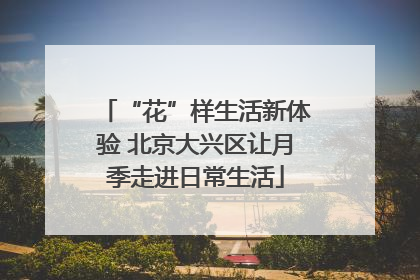 “花”样生活新体验 北京大兴区让月季走进日常生活