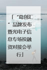 “葛创汇”品牌发布暨光电子信息专场投融资对接会举行