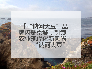 “讷河大豆”品牌闪耀京城，引领农业现代化新风尚——“讷河大豆”品牌新发地推介会圆满落幕