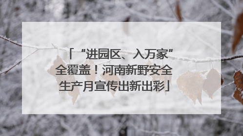 “进园区、入万家”全覆盖！河南新野安全生产月宣传出新出彩