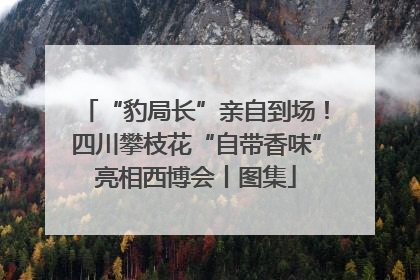 “豹局长”亲自到场！四川攀枝花“自带香味”亮相西博会丨图集