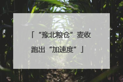 “豫北粮仓”麦收跑出“加速度”
