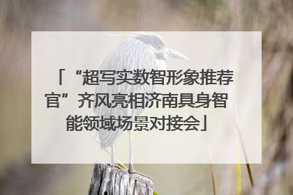 “超写实数智形象推荐官”齐风亮相济南具身智能领域场景对接会