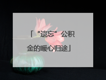 “遗忘”公积金的暖心归途