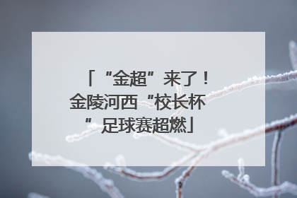 “金超”来了！金陵河西“校长杯”足球赛超燃