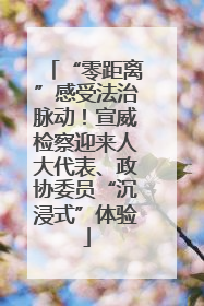 “零距离”感受法治脉动！宣威检察迎来人大代表、政协委员“沉浸式”体验