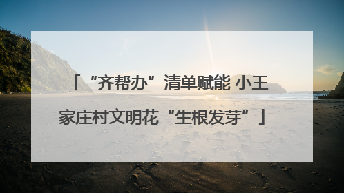 “齐帮办”清单赋能 小王家庄村文明花“生根发芽”